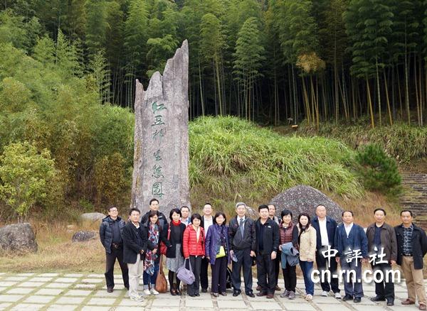 福建上杭步云生态迷人 千年红豆杉木簇拥